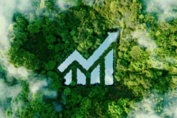 XM外汇官网-Omdia：2025年第四季度5G核心网投资同比增长83%